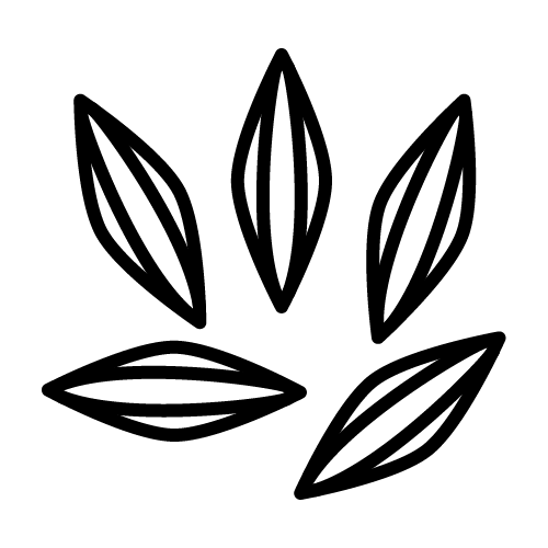 حبوب الكمون