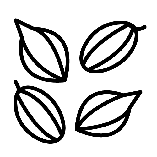 حبات الكزبرة الناشفة