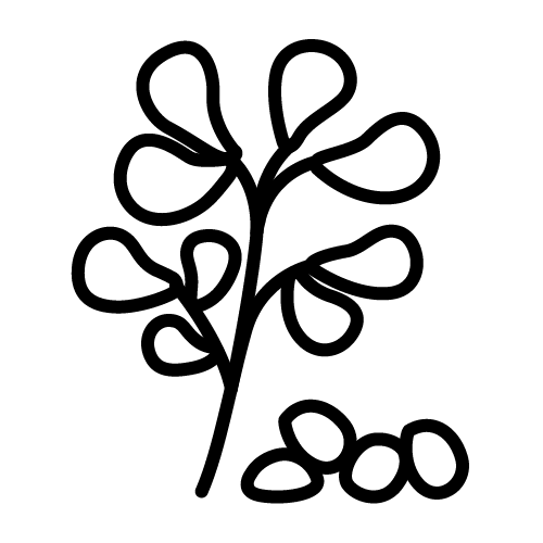 حلبة