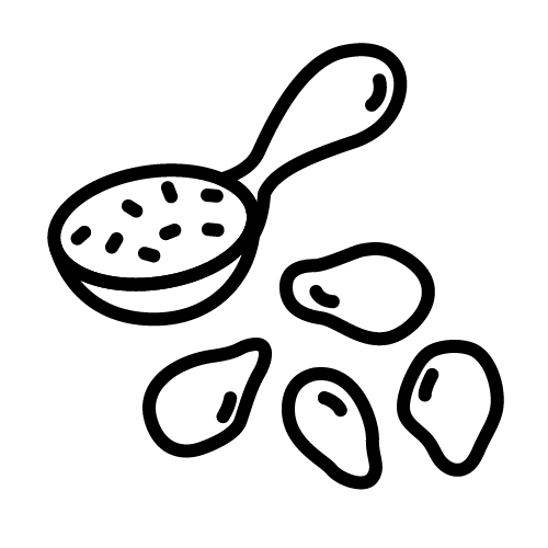 حبة البركة