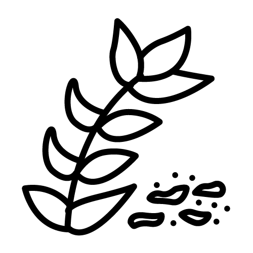 برغل