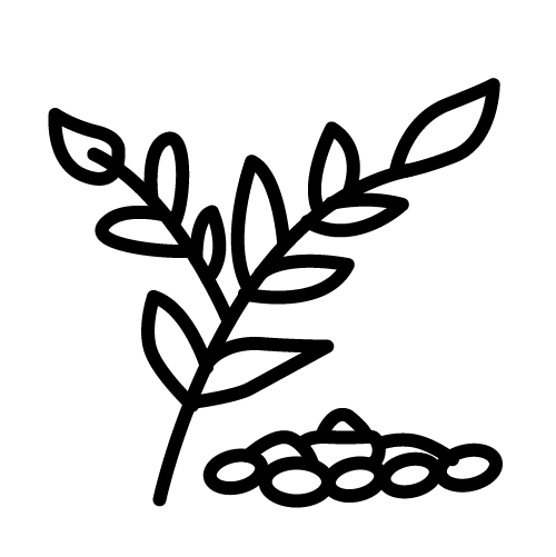 الفريكة