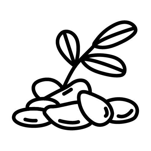 مستكة (صمغ عربي)