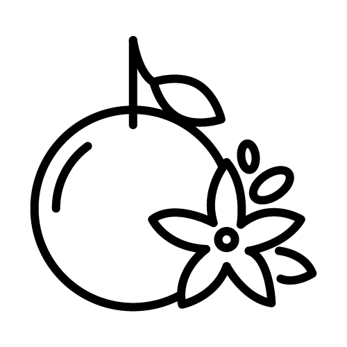 زهرة البرتقال
