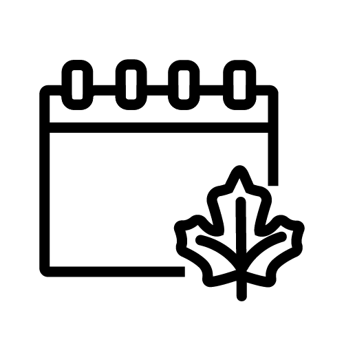 فكرة ناجحة