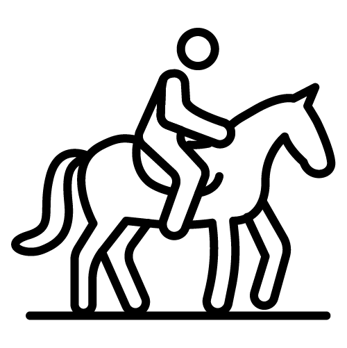 ركوب الخيل