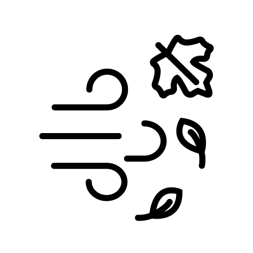 قوة الرياح الموسمية