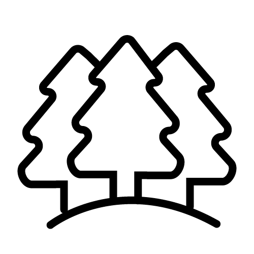 الغابة