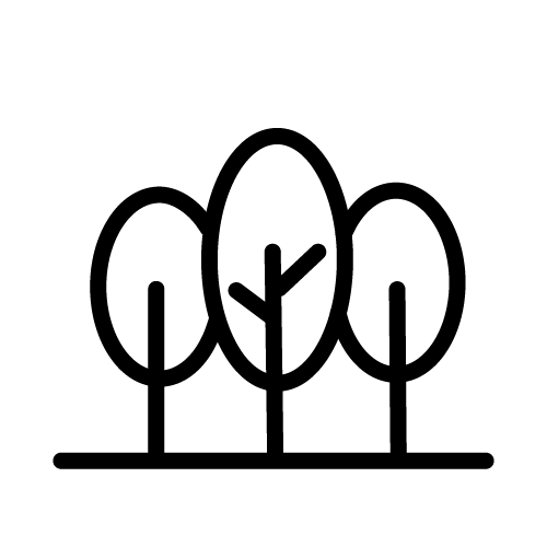 غابة