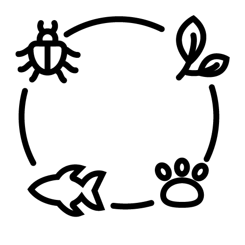 دورة الحياة
