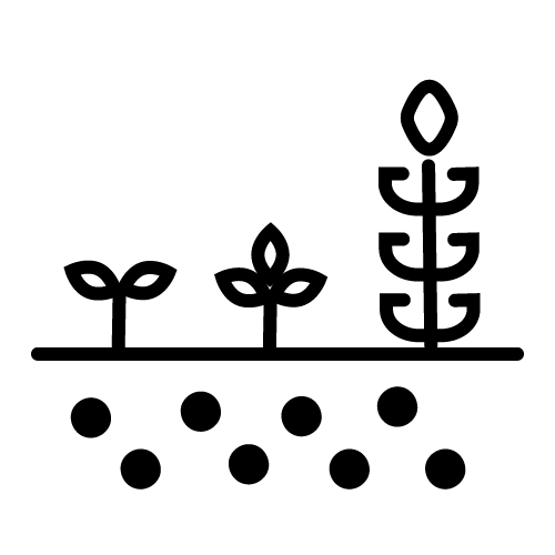الزراعة والنبات