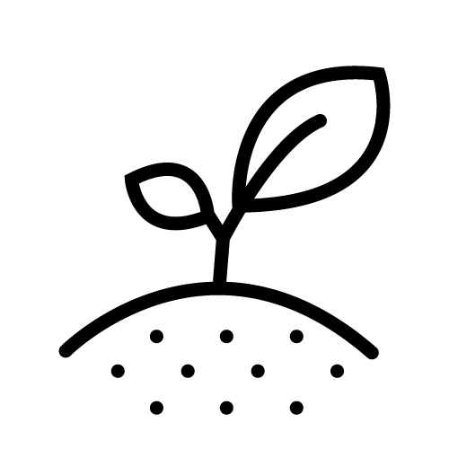 الزراعة والنبات