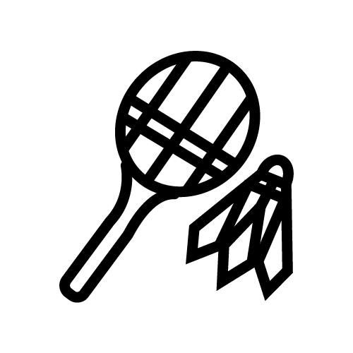 مضرب وريشة